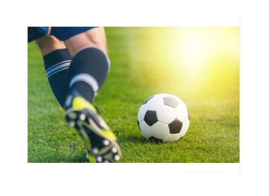 Pelota Balon de Futbol #5