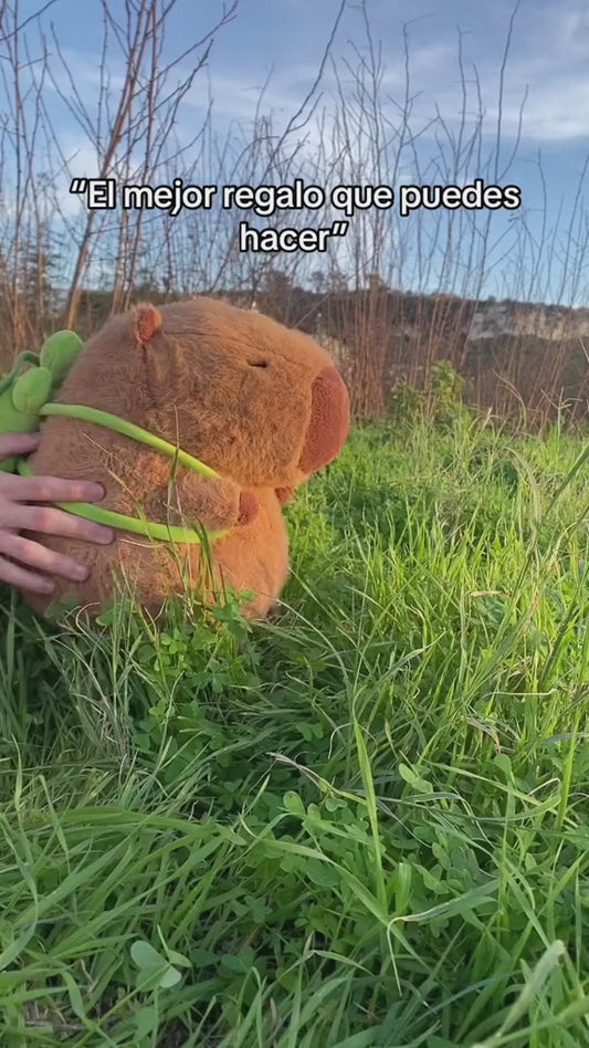 Peluche De Capibara Navidad